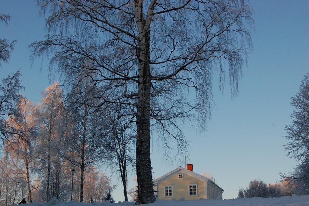 Brunnsgarden Bed & Breakfast Skellefteå Eksteriør bilde